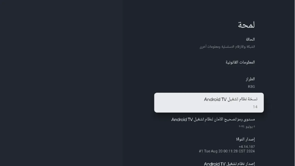 Google TV features