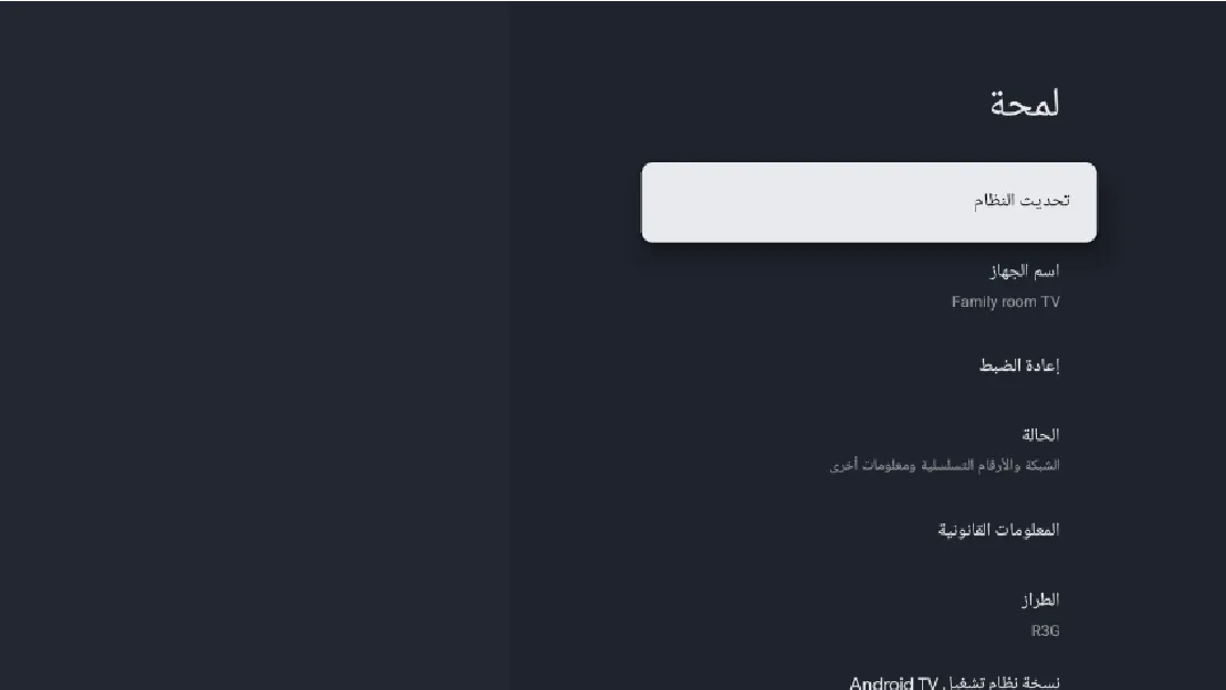 Google TV features